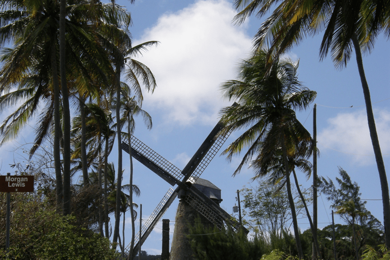 Barbados Bajan Paradise Full-Day Excursion