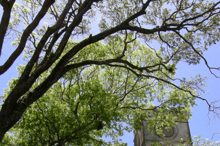 Barbados Bajan Paradise Full-Day Excursion