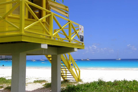 Barbados Bajan Paradise Full-Day Excursion