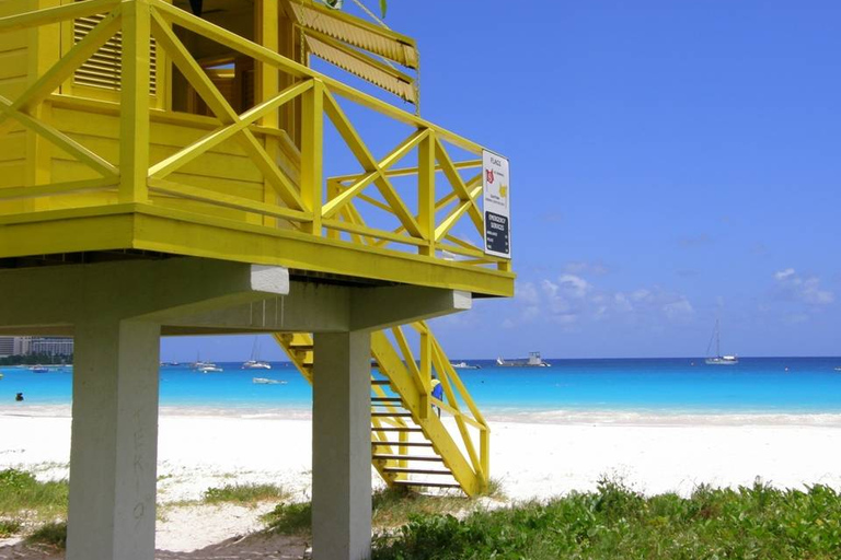 Barbados Bajan Paradise Full-Day Excursion