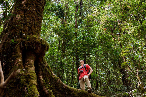 From San José: Sarapiquí Zipline, Horse Ride & Lunch