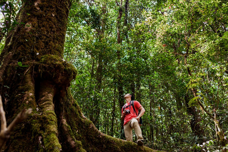 From San José: Sarapiquí Zipline, Horse Ride & Lunch