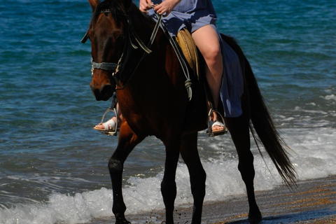 Manavgat/Side: Horse Riding on the Beach and in the Forest