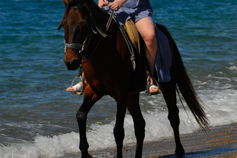 Manavgat/Side: Horse Riding on the Beach and in the Forest