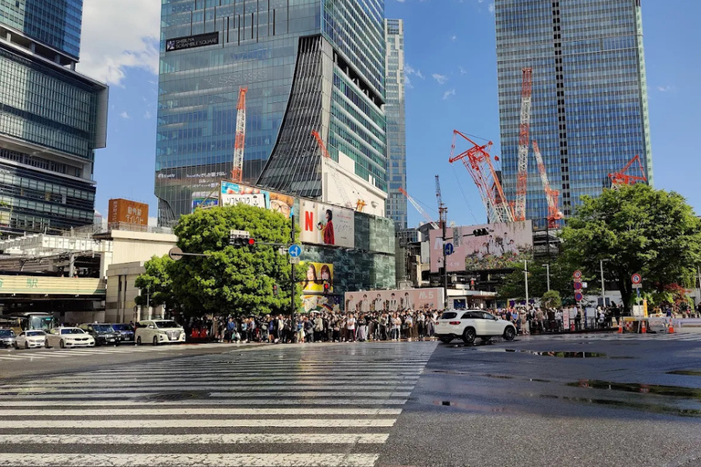 Tokyo : Visite guidée de la ville ancienne et de la ville moderneTokyo : visite guidée d'une demi-journée de la ville