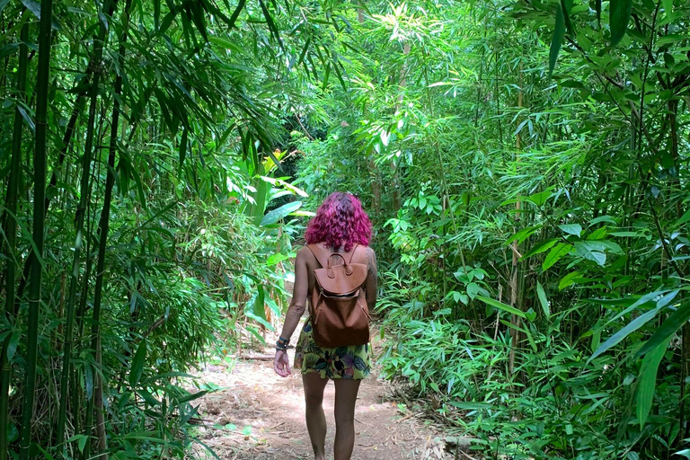 Waikiki: Verborgen Hawaii Waterval Wandeling en Strand Tour