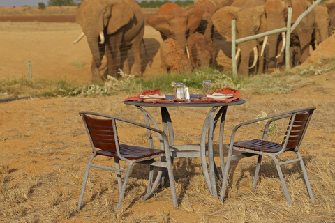 Diani Beach: 2-Day Tsavo East Safari with Game Drives