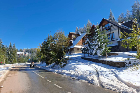 Sarajevo: Jahorina Mountain Guided Eco Walk