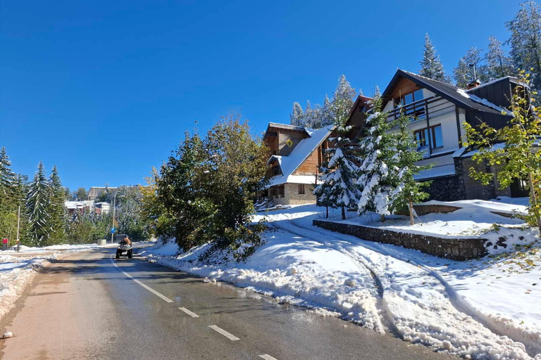 Sarajevo: Jahorina Mountain Guided Eco Walk