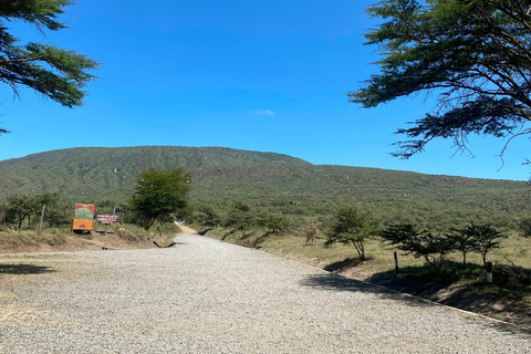 From Nairobi: Mount Longonot 4 Craters Hike Day Trip From Nairobi: Mount Longonot 4 Craters Hike Day Trip