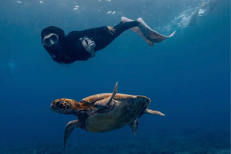 Nusa Penida: Snorkeling Adventure with Manta Rays Private Snorkeling With Hotel Transfer Nusa Penida Area