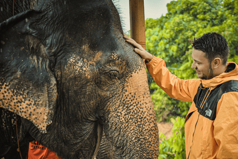 Depuis Phuket : Visite du Sanctuaire de la Jungle des Eléphants - Nourriture et Douche