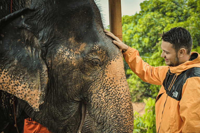 Desde Phuket: Viaje al Santuario de la Selva de los Elefantes: Alimentación y Ducha