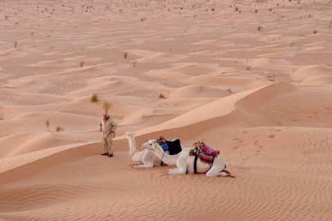 Djerba &Zarzis: Sahara Ksar Ghilane, Matmata & Sidi idriss