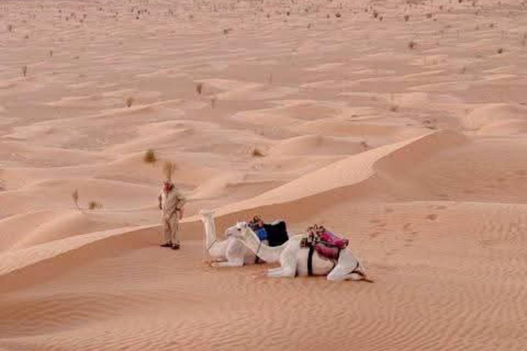 Djerba &Zarzis: Sahara Ksar Ghilane, Matmata & Sidi idriss