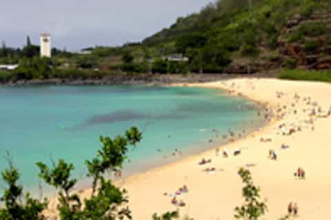 oahu waimea waterfall circle island adventure tour