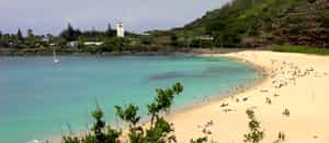 oahu waimea waterfall circle island adventure tour