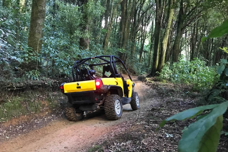 Rotorua: 4×4 Selbstfahrer-Buggy-Tour durch Farm und Buschland