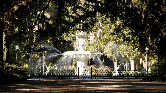 the savannah experience 3hour minibus tour