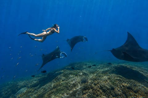 From Lembongan: Nusa Penida Private Snorkeling & West Tour