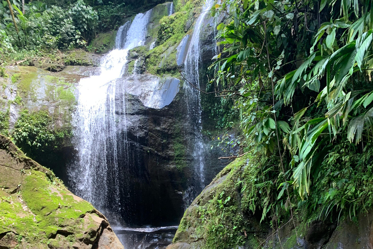 Puerto Viejo Talamanca: Quad Tour with 2 Waterfalls