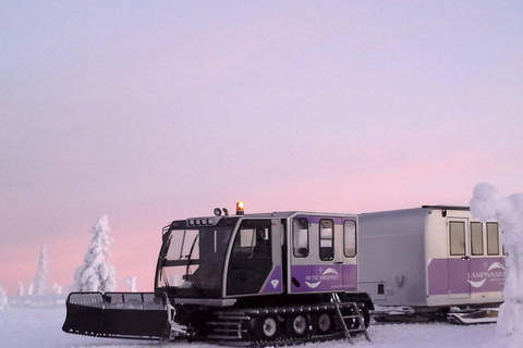 Rovaniemi Lampivaara Amethyst Mine Guided Tour & Gem Digging