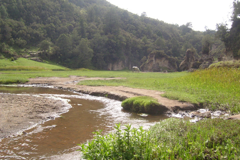 Wonchi Crater Lake: 2-Day Wellness Retreat