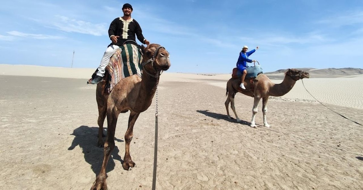 Lima: Transfer + Camel ride + Huacachina + Swimming pool | GetYourGuide