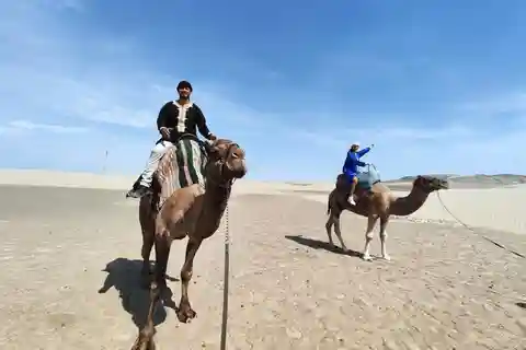 Lima: Ica Passeio de camelo + Huacachina + Piscina "Aventura no deserto".