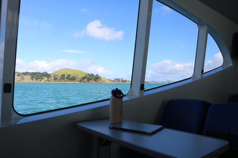 Auckland: Coromandel Peninsula Ferry and Bus Transfer 7:00pm One Way Coromandel to Auckland Ferry & Bus Transfer