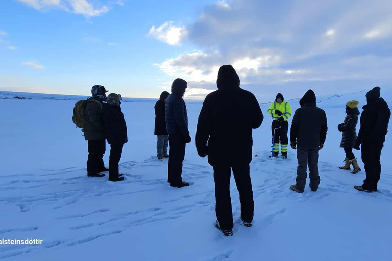 Akureyri: Goðafoss, Christmas House, and Forest Lagoon Tour