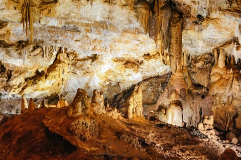 Von Kotor: Erkunden Sie die wilde Schönheit der Lipa-Höhle