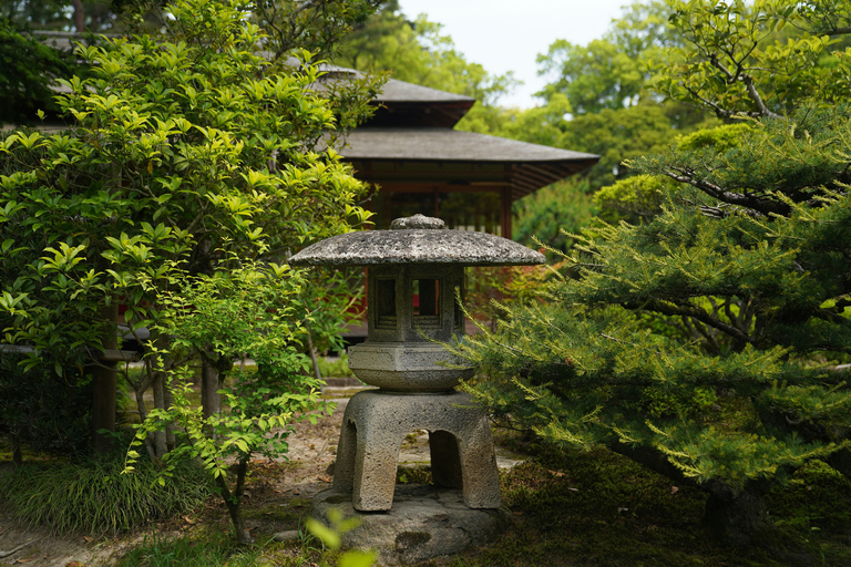 Desde Tokio: excursión de 1 día a Shirakawago y Kanazawa