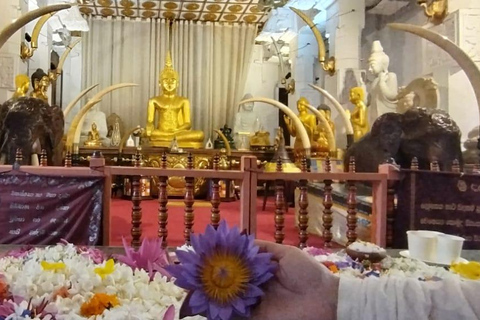 Passeio de Kandy a Ambuluwawa e três templos arqueológicosOpção Tuk Tuk