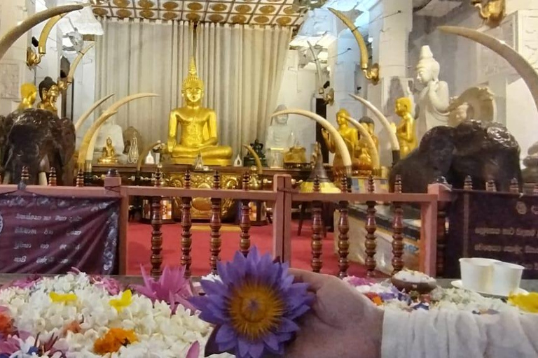 Passeio de Kandy a Ambuluwawa e três templos arqueológicosOpção Tuk Tuk