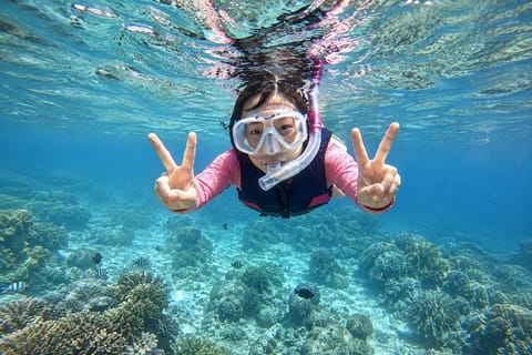 Da Nang/Hoi An: Cham Islands Snorkeling by High-Speed Boat - Image 2