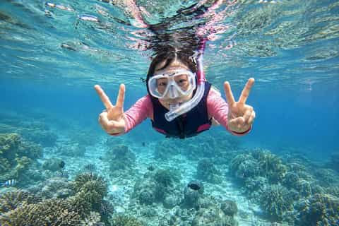 Da Nang/Hoi An: Cham Islands Snorkeling by High-Speed Boat - Image 3