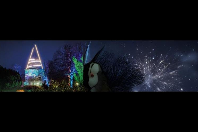 Wstęp do egaparku: zimowe światła