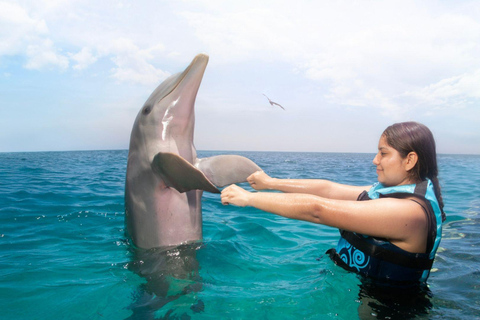 Cancun: Royal Garrafon Park Entry & Dolphin Encounter