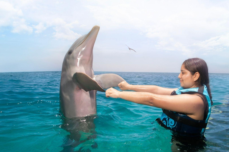 Cancun: Royal Garrafon Park Entry & Dolphin Encounter