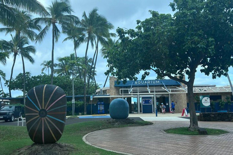 Oahu: Half Circle Island Tour with Local Guide