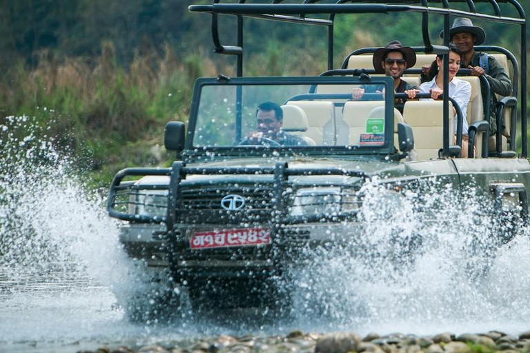 Desde Katmandú o Pokhara: 1 N 2D Día de excursión por la vida salvaje de ChitwanDesde Katmandú o Pokhara: Excursión de 1 N- 2 días por la vida salvaje de Chitwan