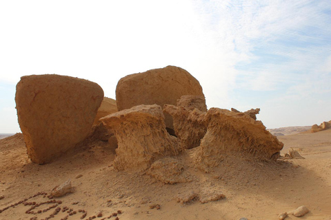 Ontdek Wadi Hitan, het prehistorische wonder van Egypte!Ontdek Wadi Hitan, het prehistorische wonder van Egypte! 4 personen