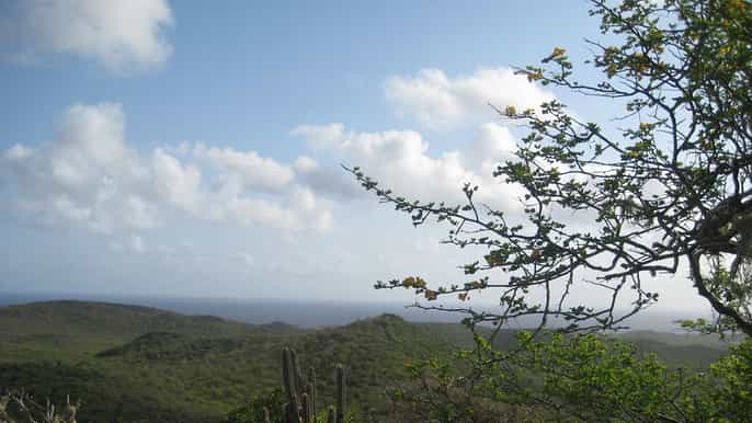 natural treasures of curacao jeep tour