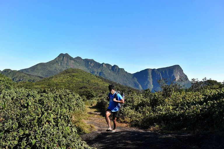 Kandy: Hidden Jungle Infinity Pool & Waterfall Expedition