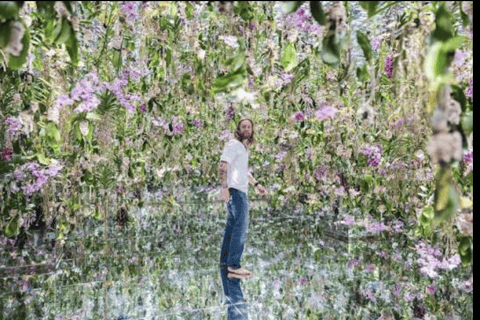 Tokyo: Private City Tour with Tokyo TeamLab Planets.