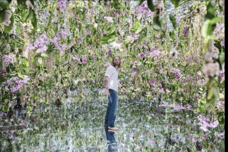 Tokyo: Private City Tour with Tokyo TeamLab Planets.