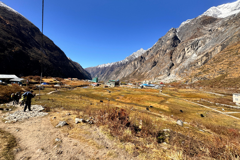 From Kathmandu: 10-Day Langtang Valley Trek