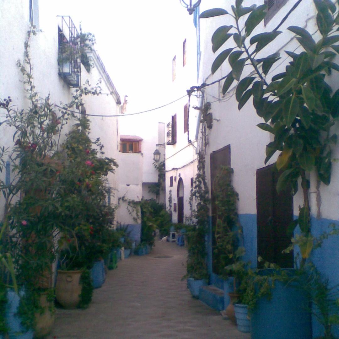 Visite d'une jounée de Tanger et Asilah au départ de Tanger - excursion