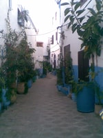 Tanger et Asilah Visite d'une journée complète de Tanger - Hizvo